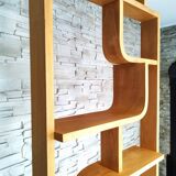 Bent plywood wall, bookcase, flowerbed, Volak by Holesov, 1960s Czechoslovakia
