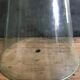 Cloche de jardin