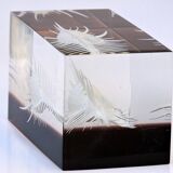 INCLUSION Vintage RESIN SHELL MUREX curiosity cabinet