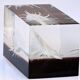 INCLUSION Vintage RESIN SHELL MUREX curiosity cabinet
