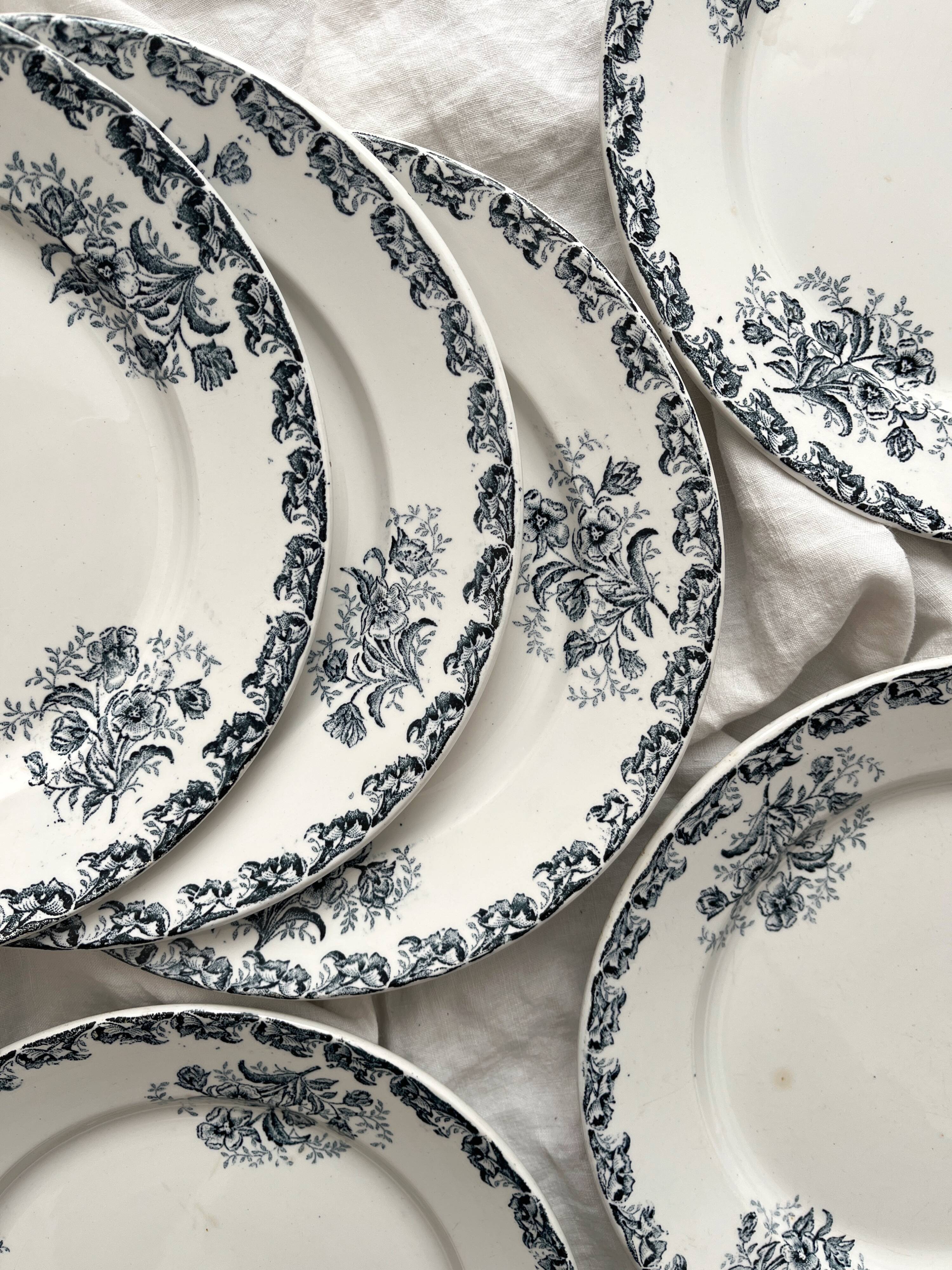 6 flat ironware plates "Albert" AG Clairefontaine