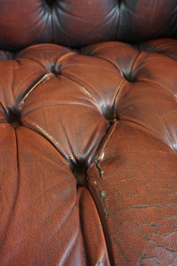 Chesterfield sofa in resistant cowhide, 3 seats
