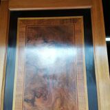 Library Louis XVI style inlaid