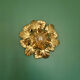 Sheet lamp *F10