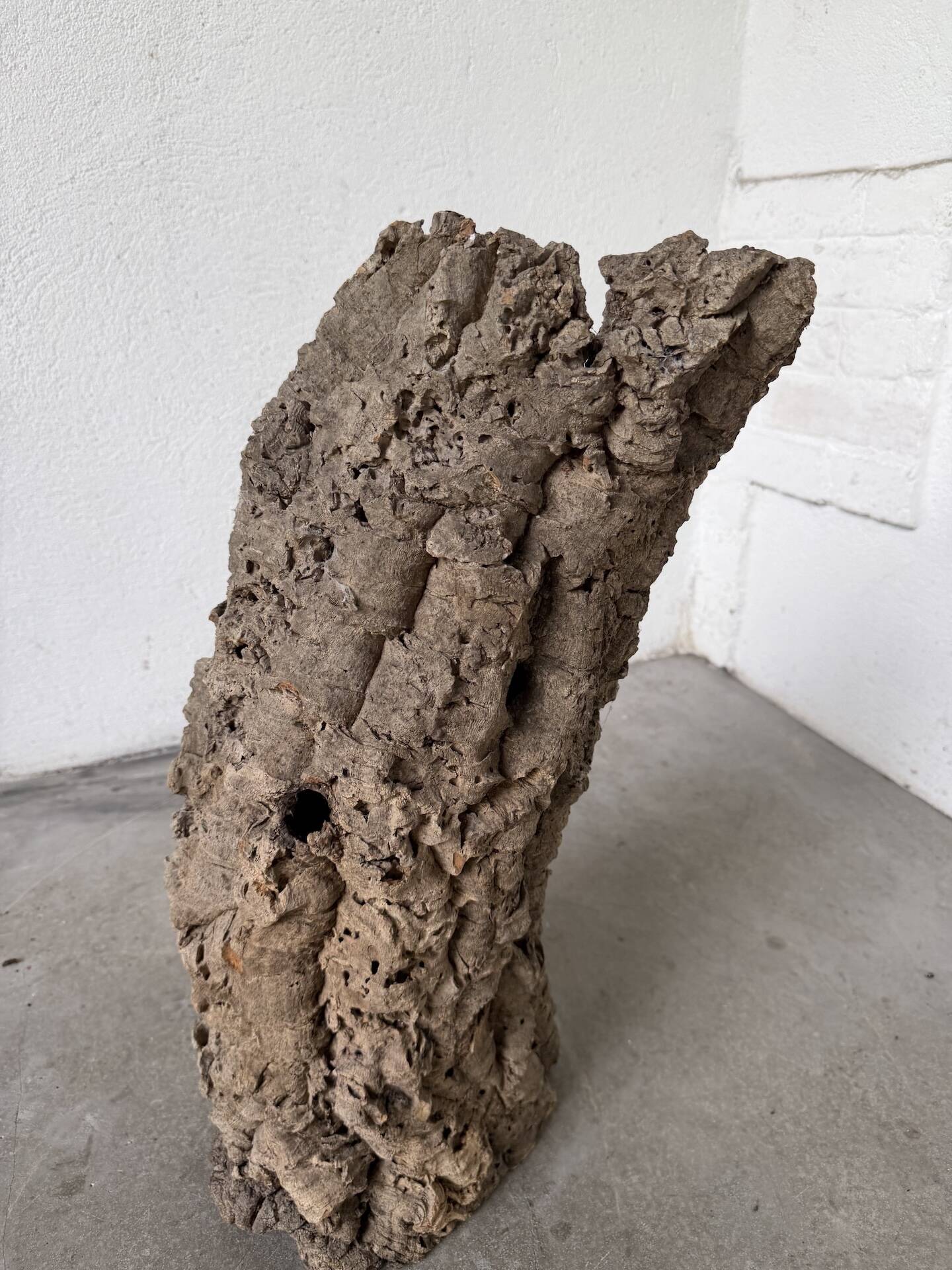 XL cork bark vase