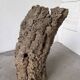 XL cork bark vase