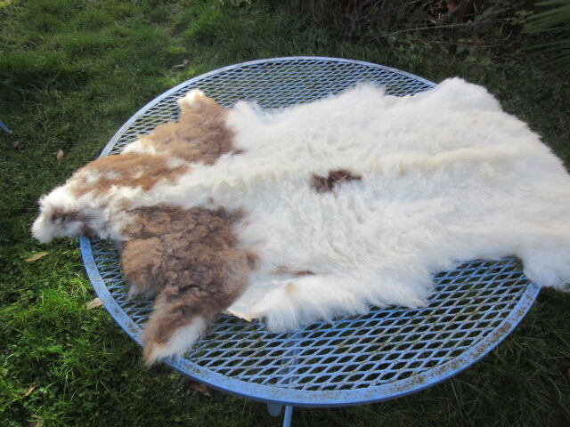 Sheepskin