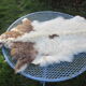 Sheepskin