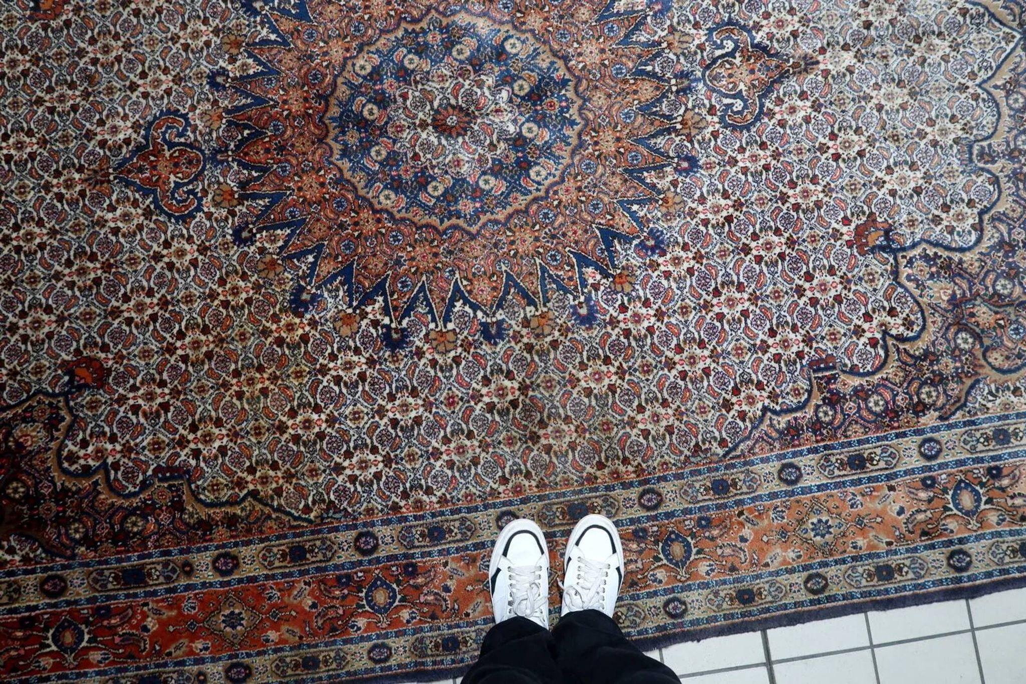Tapis médaillon en laine fait main des années 1940, ivoire et marine, 212 × 312 cm