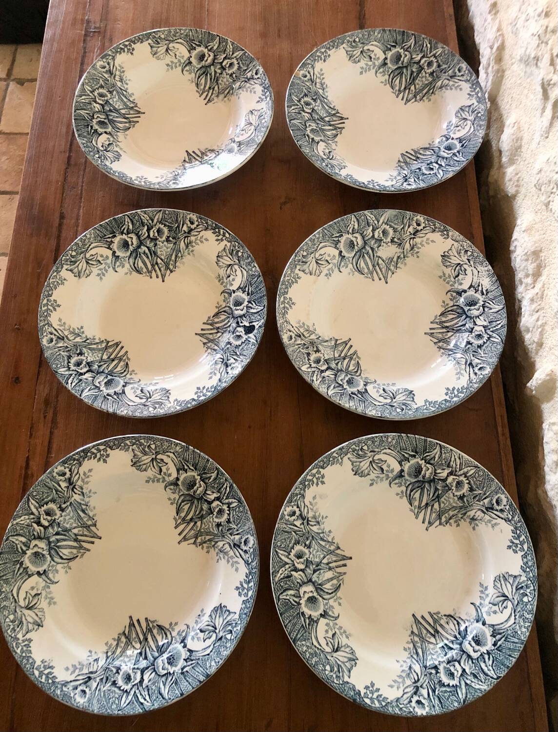 Narcisse Saint Amand ironstone deep plates