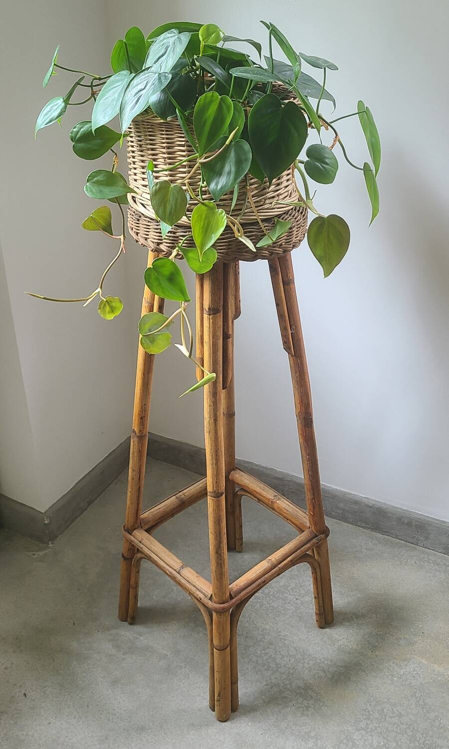 Vintage bamboo rattan wicker plant holder