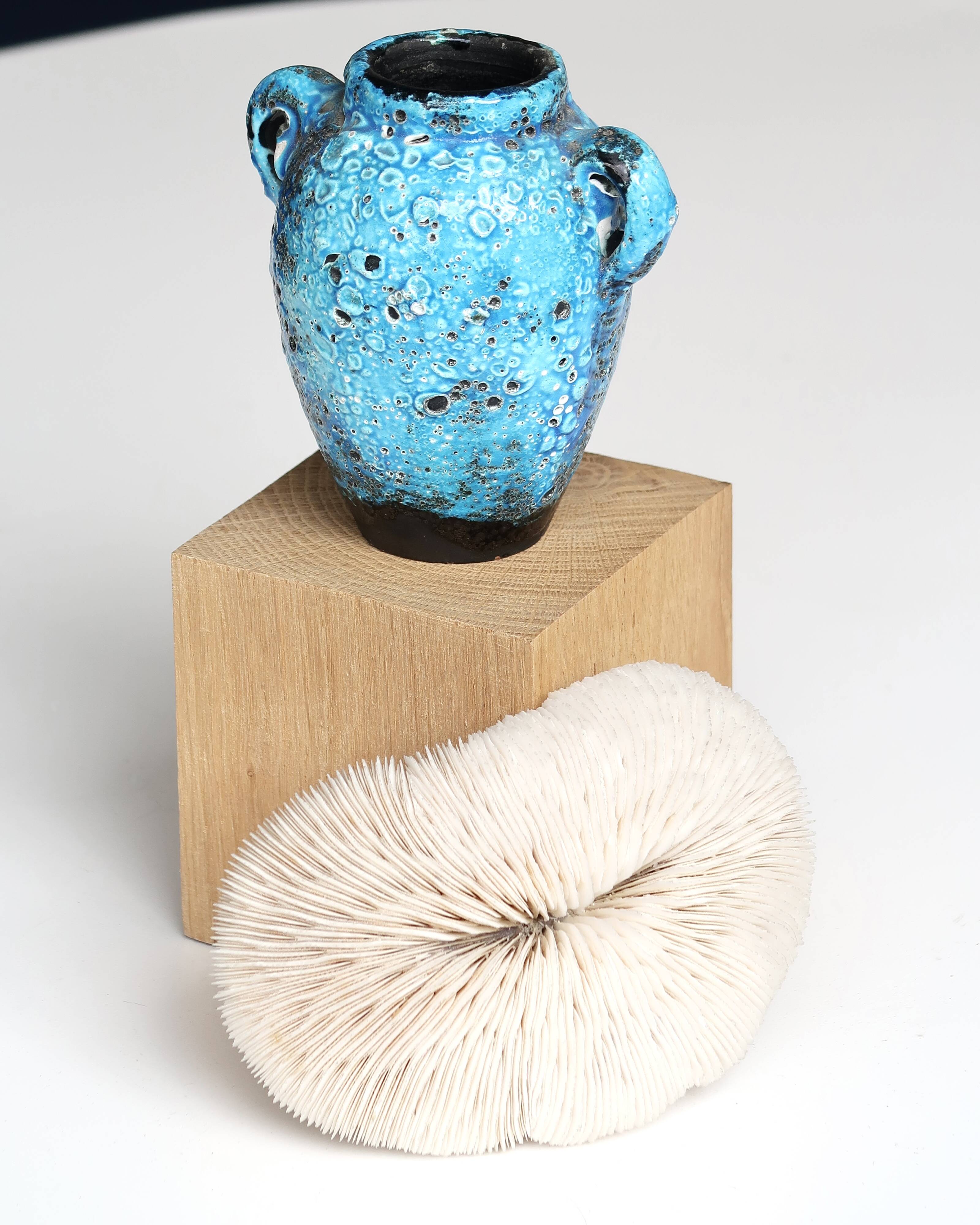 White coral, cabinet of curiosities, 70s