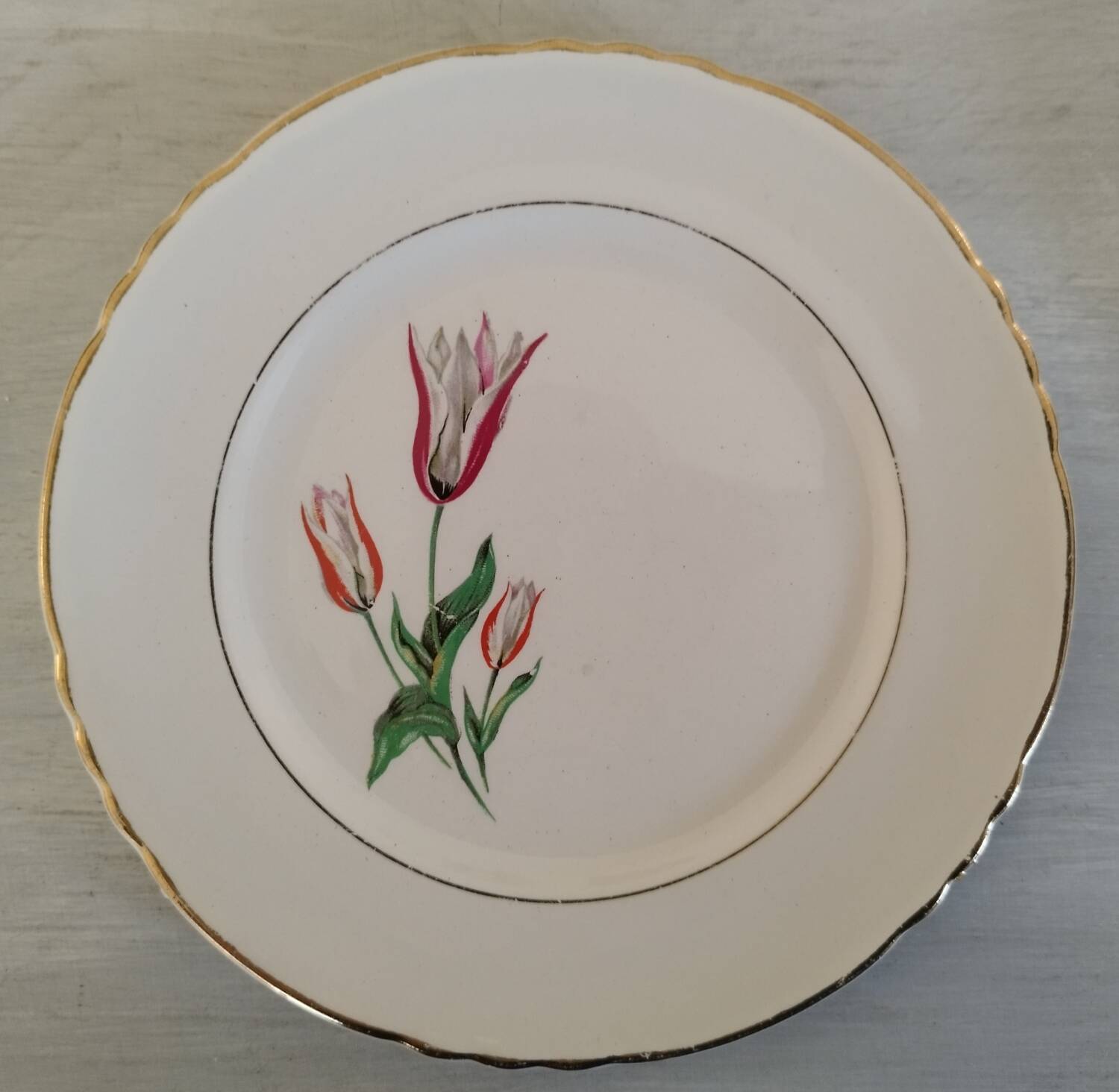 Plates Dessert Cake Old Earthenware Moulin des Loups Orchies Tulip Model
