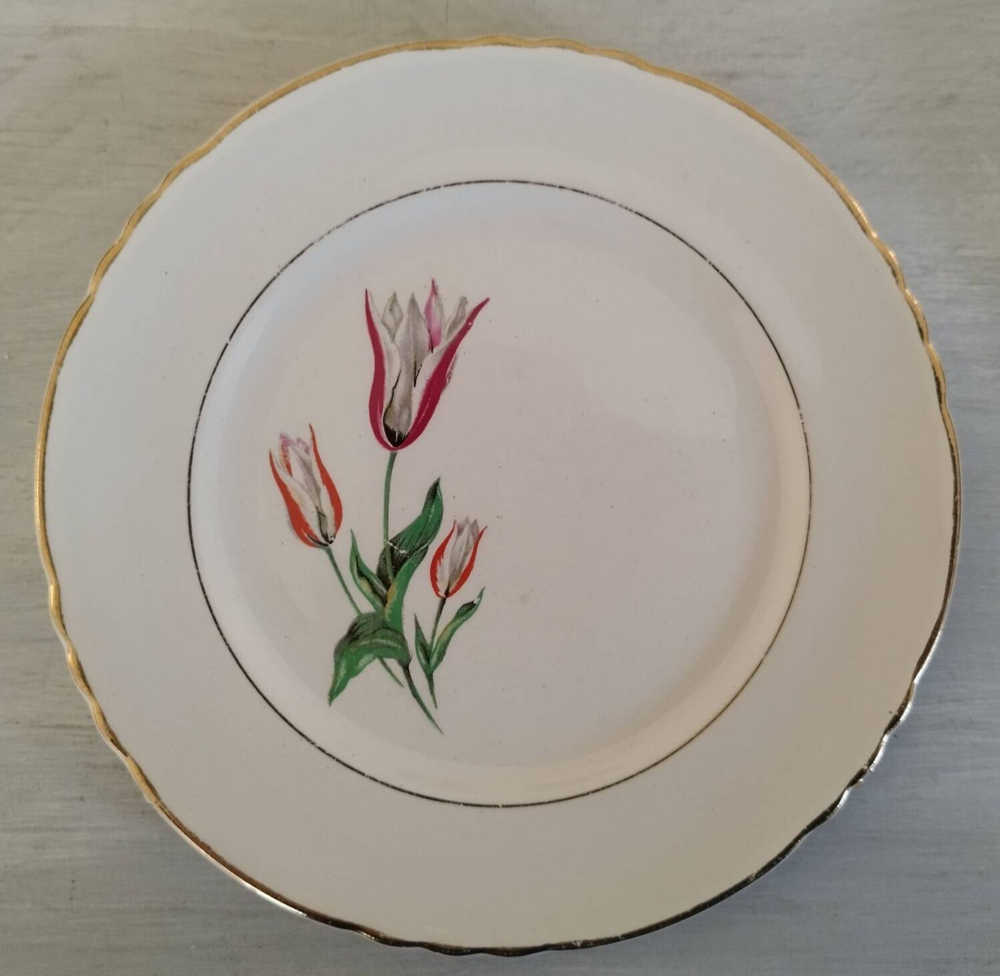 Plates Dessert Cake Old Earthenware Moulin des Loups Orchies Tulip Model