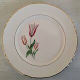 Plates Dessert Cake Old Earthenware Moulin des Loups Orchies Tulip Model
