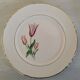 Plates Dessert Cake Old Earthenware Moulin des Loups Orchies Tulip Model