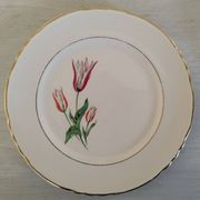 Plates Dessert Cake Old Earthenware Moulin des Loups Orchies Tulip Model