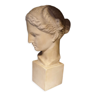Mythological bust plaster
