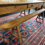 Pair of bench 19 th