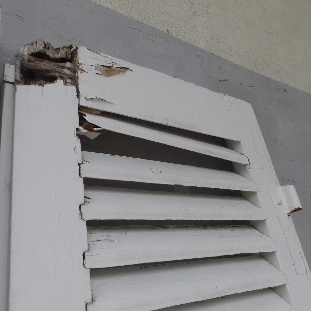 Old wooden shutters louvers 2 leafs