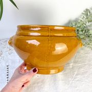 Vintage Ceramic Lion Head Soup Tureen - Honey, Made in France