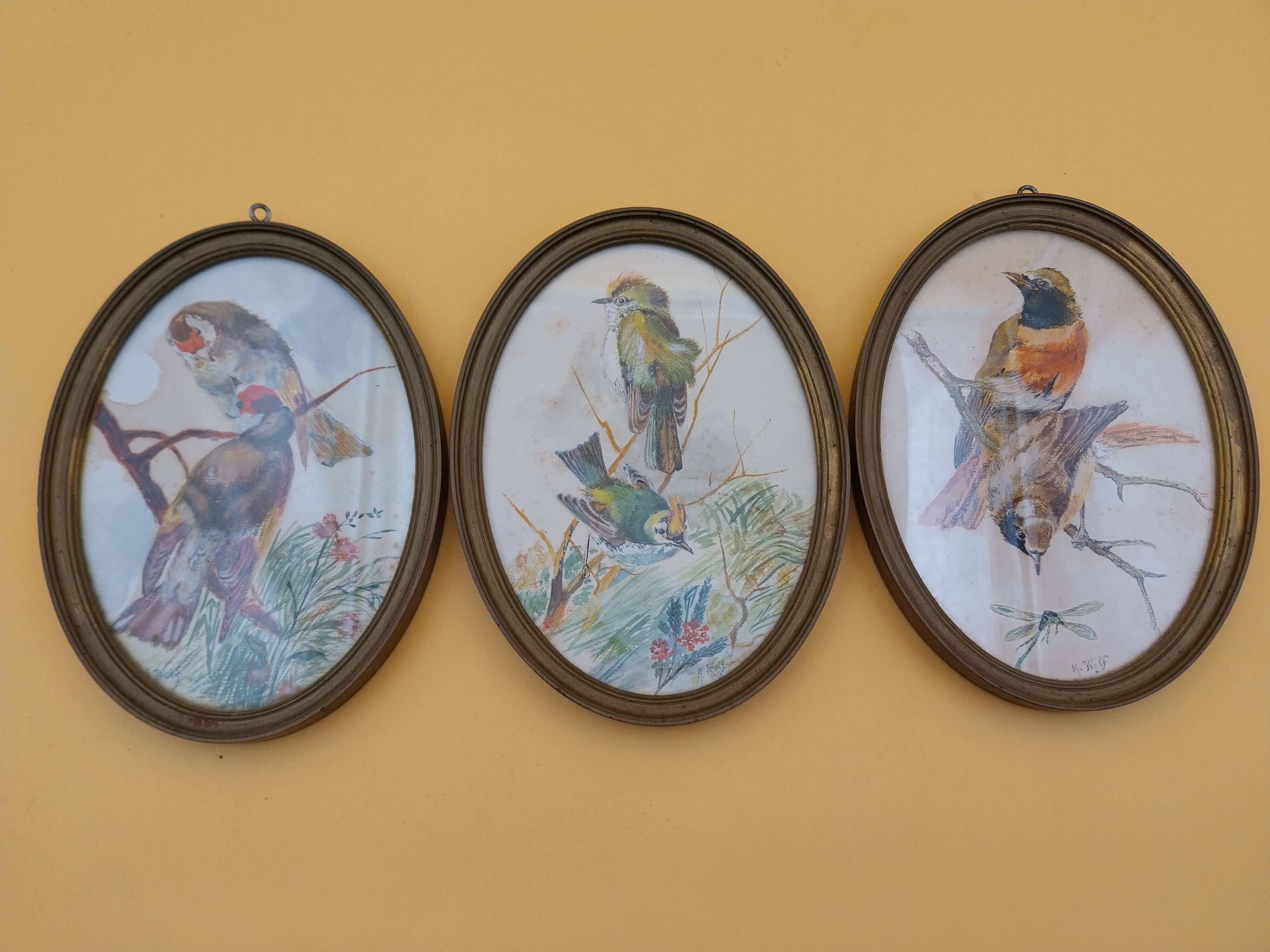 3 tableaux aquarelle peinture oiseaux signé Wolf