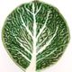 Cabbage leaf cup in green slurry from Portugal