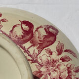Favori Sarreguemines fruit cup