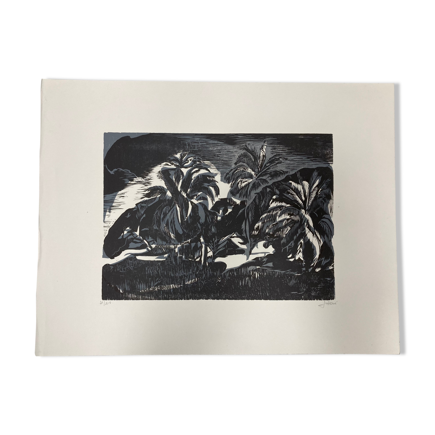 Illustration Le Bois des Cocotiers