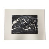 Illustration Le Bois des Cocotiers