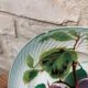 Old barbotine plate with plum motif Saint Amand Hamage