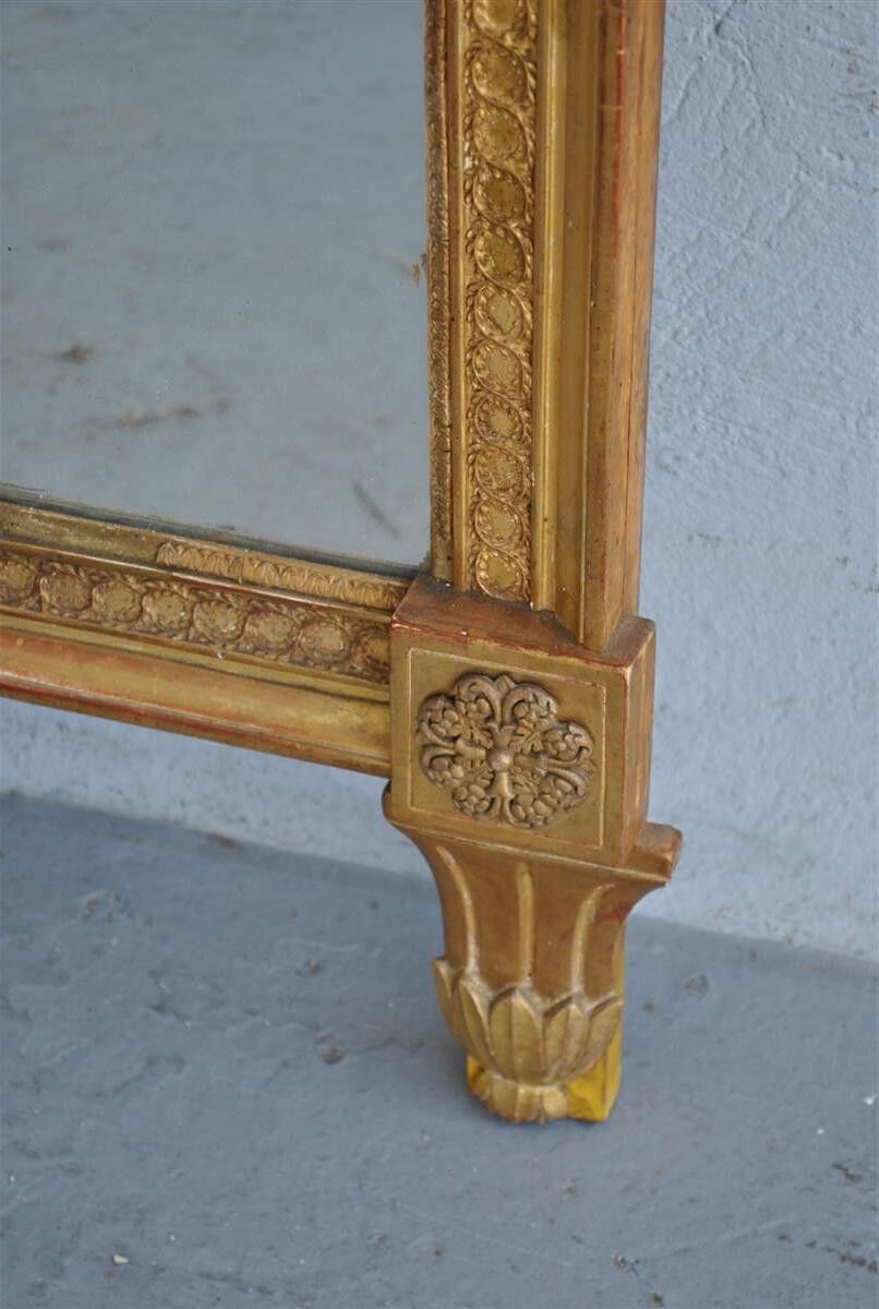 Mirror wooden Gold Louis XVI era XIX 72x152cm