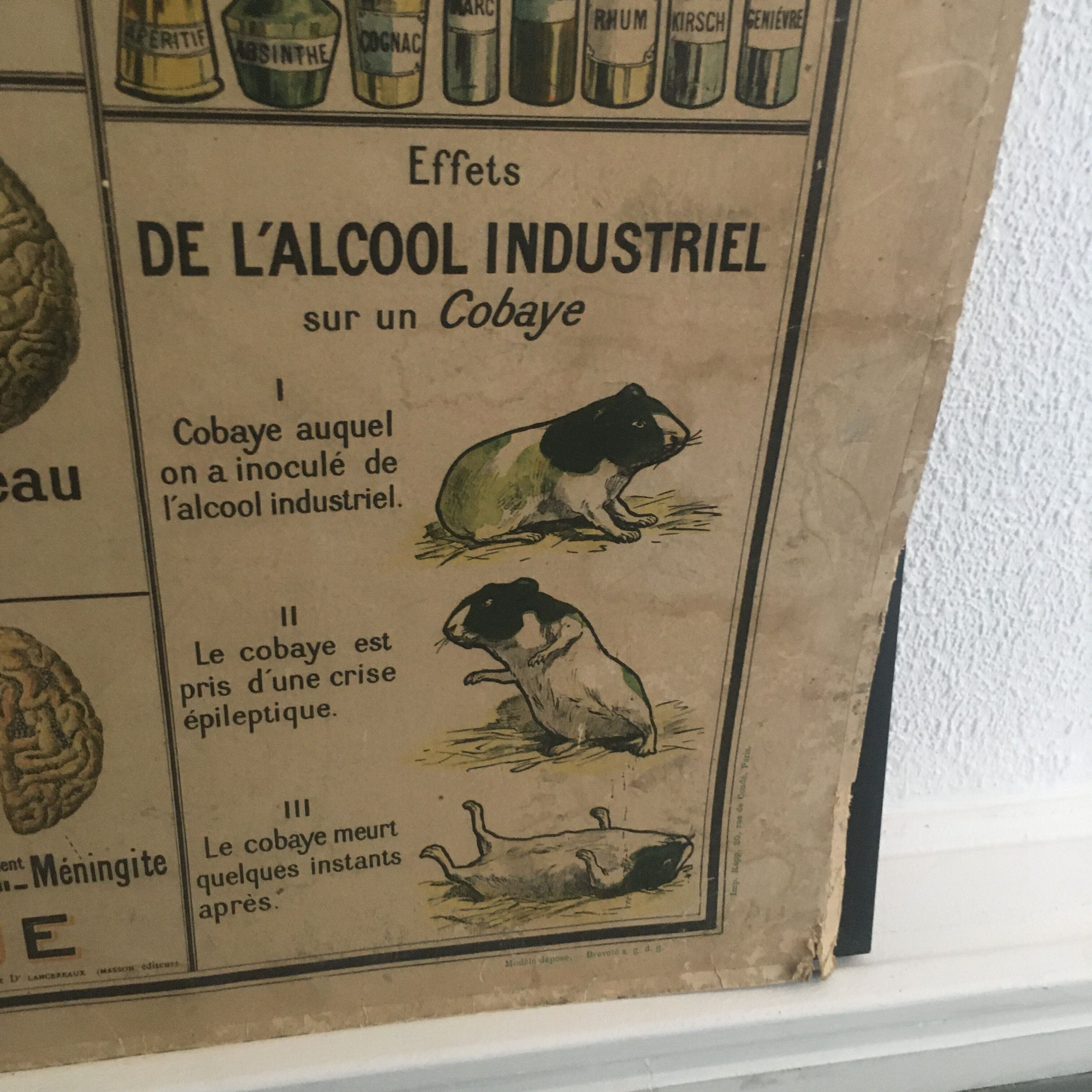 Educational panel "Alcohol is the enemy" 1910