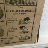 Educational panel "Alcohol is the enemy" 1910