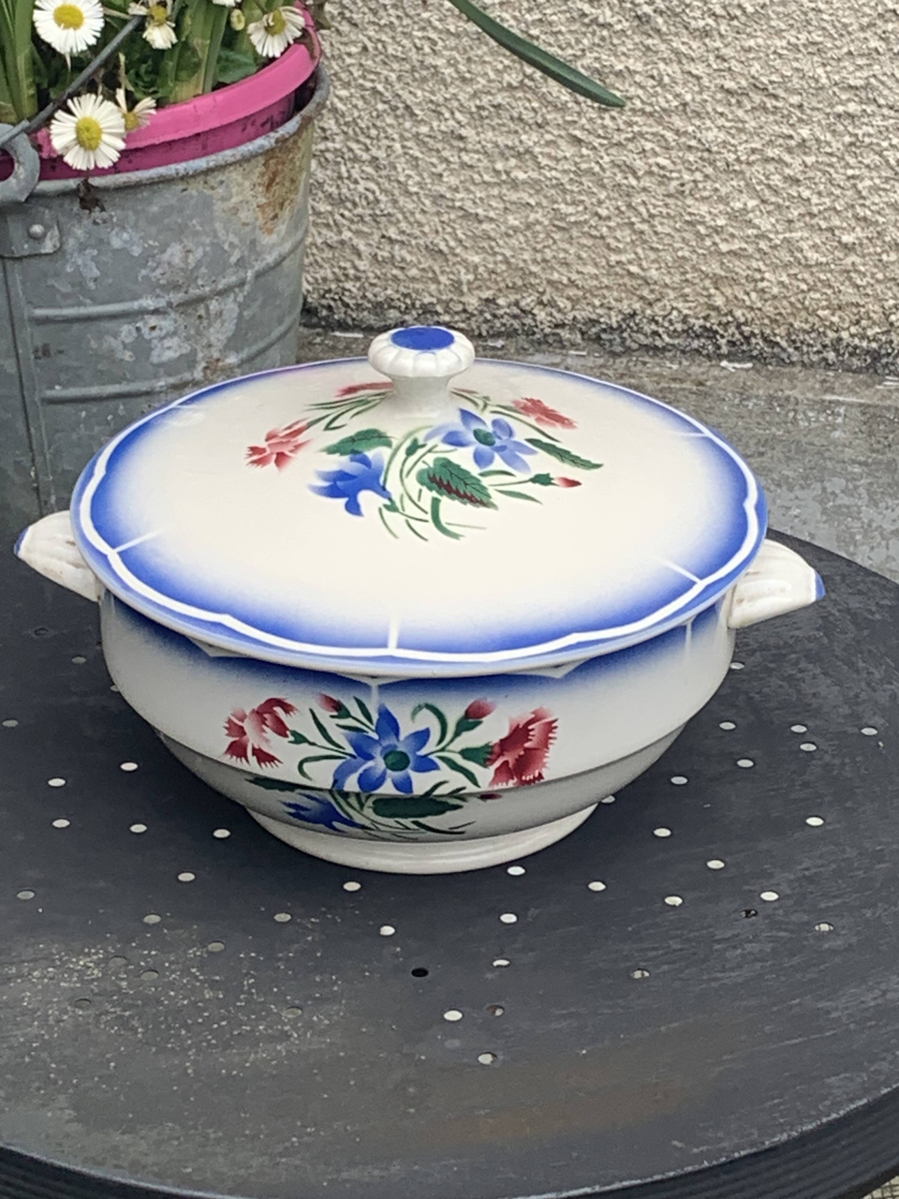 Soup tureen, Elorn model, Digoin and Sarreguemines, France, carnation motifs