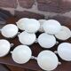 Rare set of 12 bowls with 2 handles Obernai Sarreguemines Lux