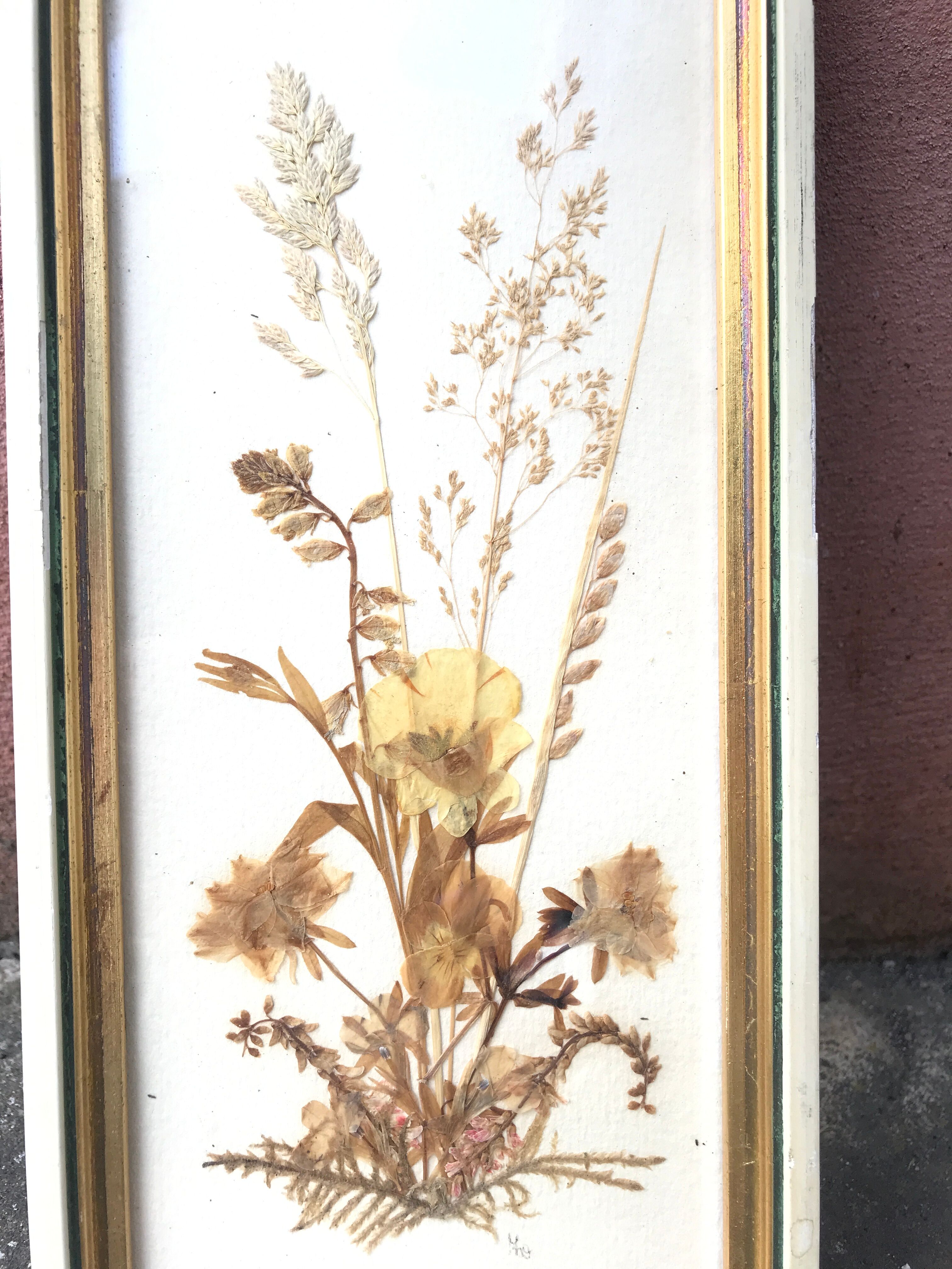 Pair of herbarium frames