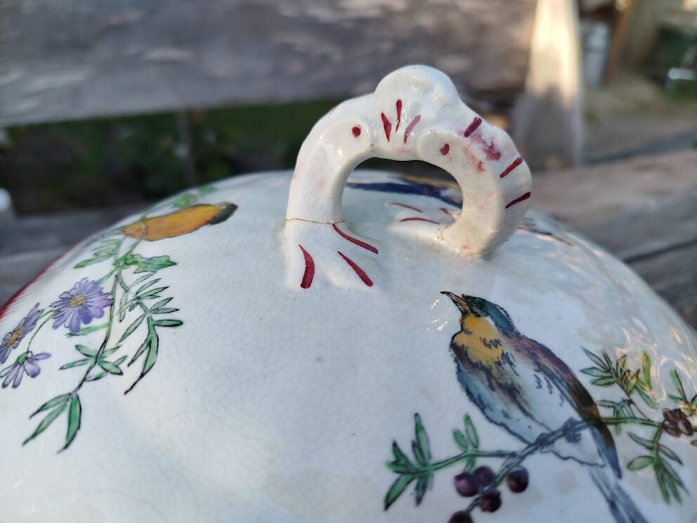 Legumier oiselets choisy le roi