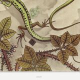 Poster “Lizard”, after an Art Nouveau lithograph from 1897