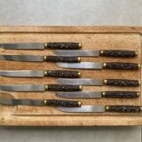 Set de 10 couteaux Pradel Laguîole