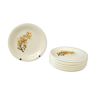 Set of 12 flat plates Magnolias from Moulin des Loups