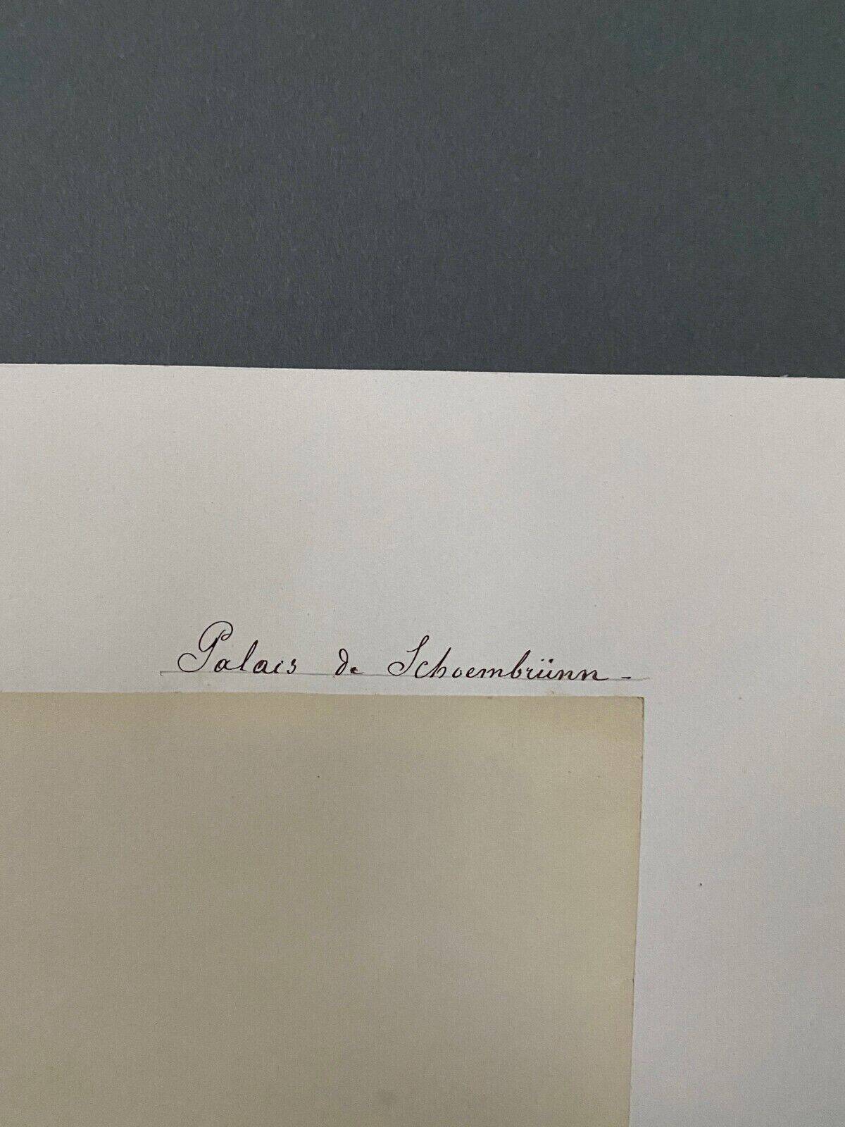 Photo Schoenbrunn Palace 19th century albumen laminated cardboard