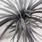 Coffee table with ears of wheat, "Coco Chanel" by Goossens, Circa 1970