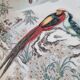 Pair of vintage Franklin Japanese hand-painted porcelain plates