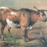 Une vache, pastel
