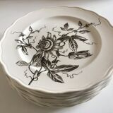 Set of 9 plates Passion flower grey 1880 Brown Westhead Moore 'Co