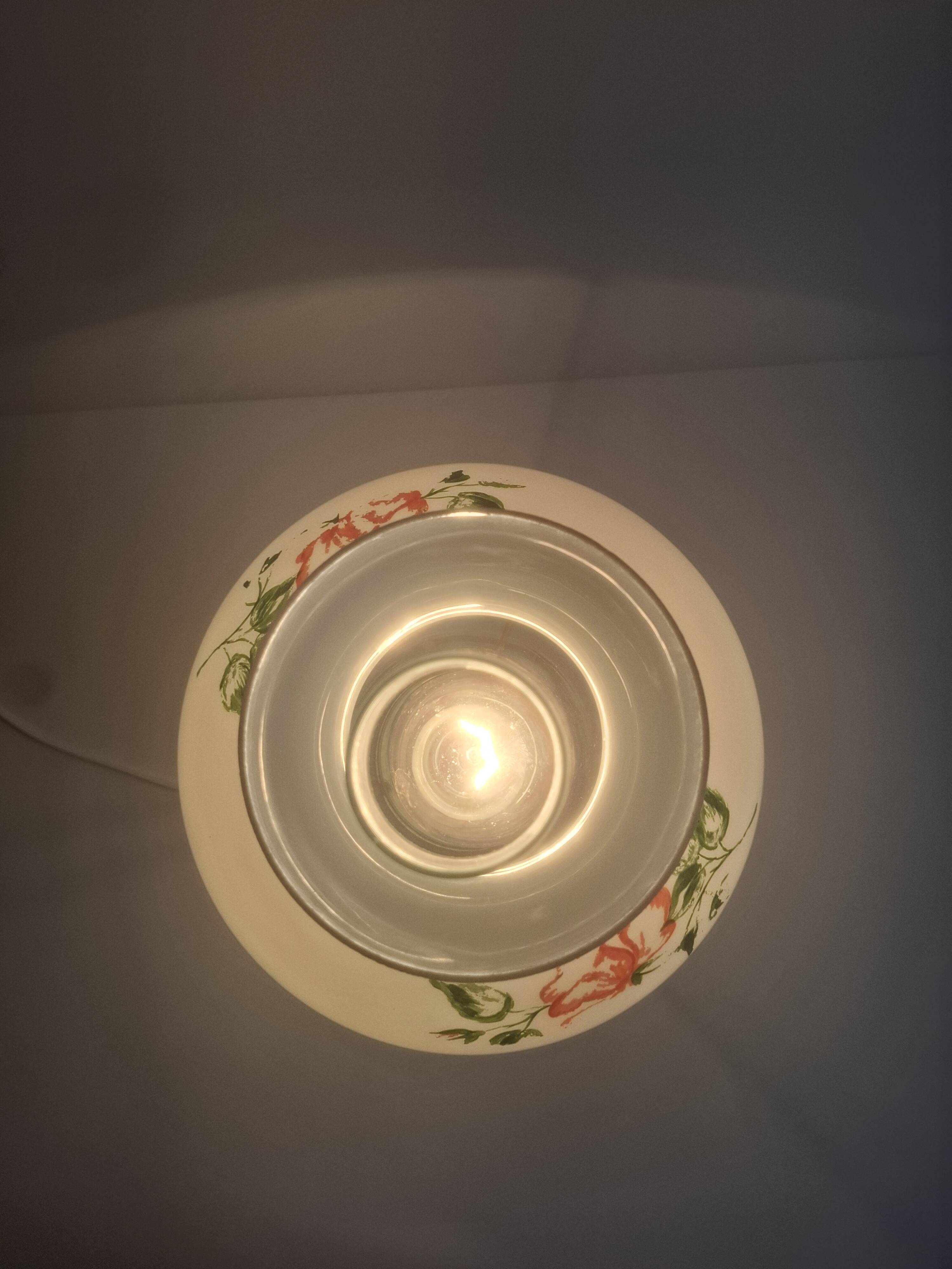 Mid-century Czech cast iron glass lamp vintage floral shade home lighting