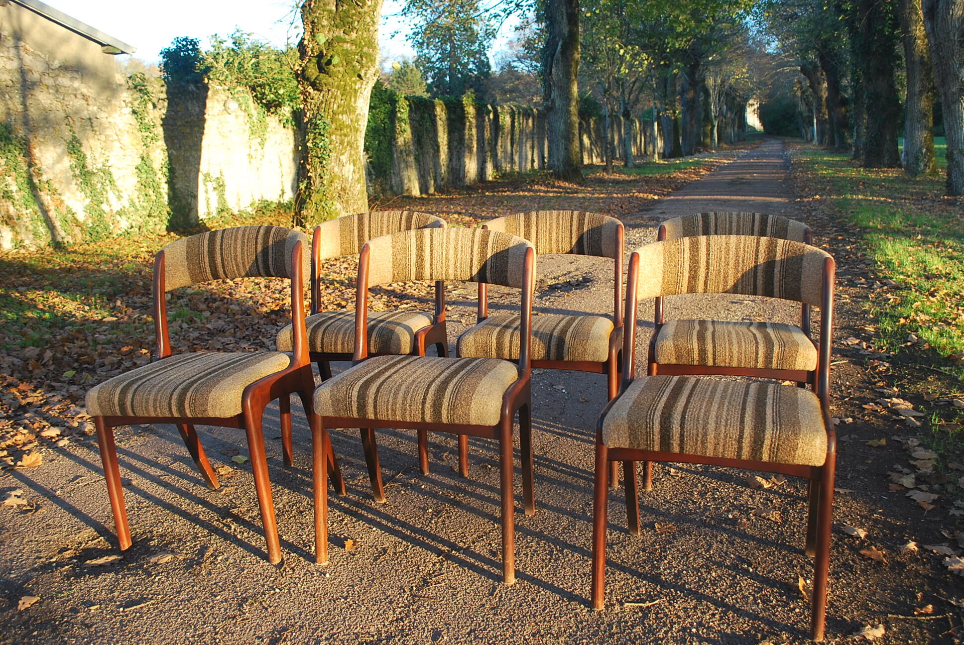 Lots of scandinavian chairs vintage gondola