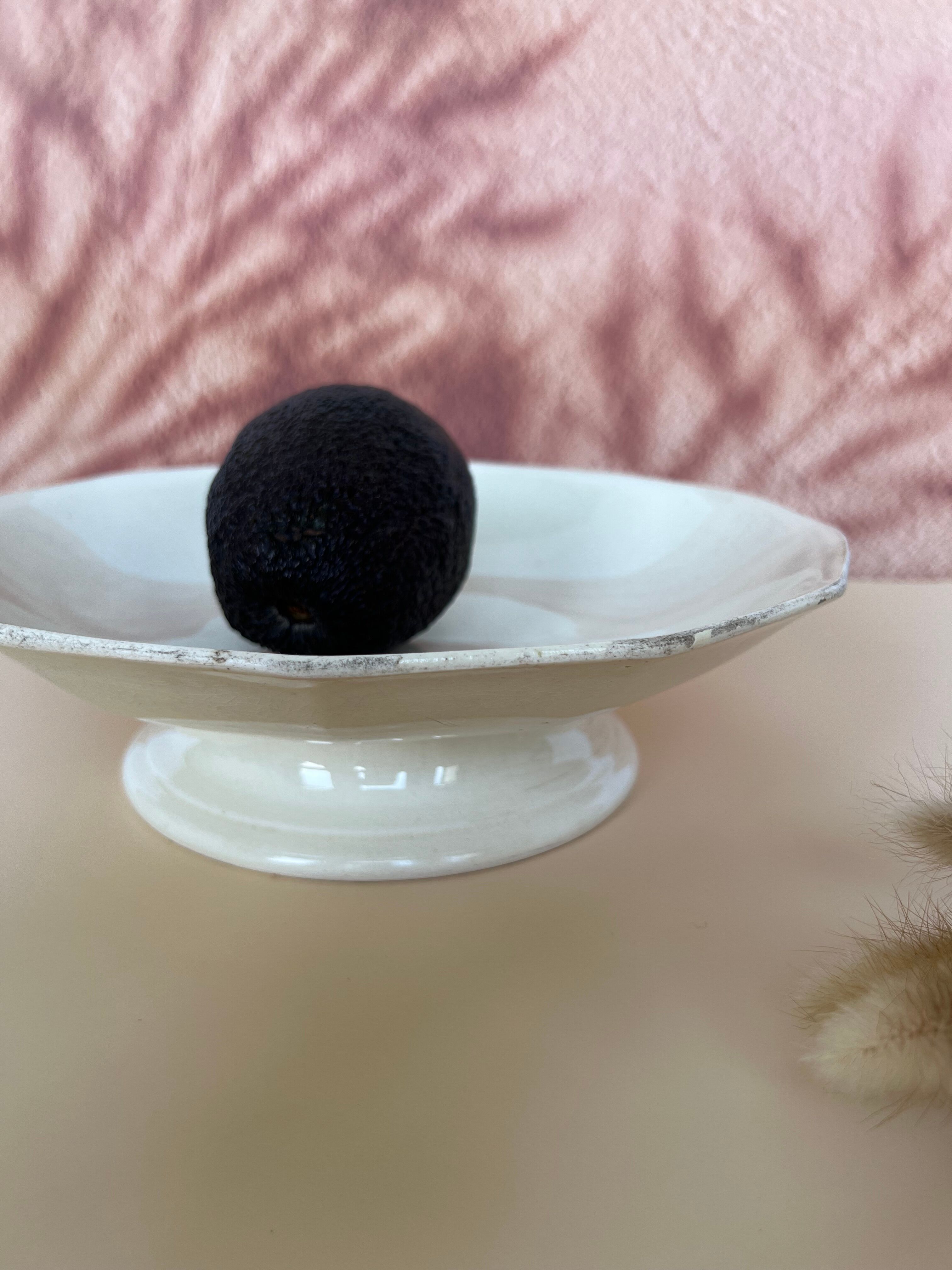 Compotier low Terre de Fer Sarreguemines solid cream color