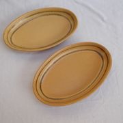 Lot 2 raviers Sarreguemines